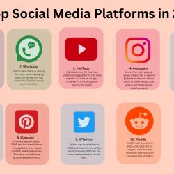 Best Social Media Platforms for Business Development in 2024