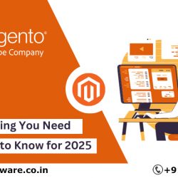 What is Magento eCommerce and Why Should You Use It ?